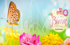 Kings Dominion "Spring Bloom Festival" and Our Recent Family Visit {My Review}