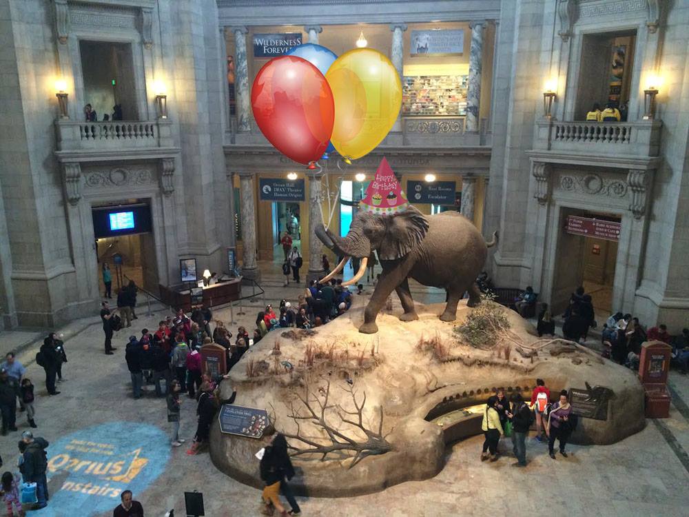 smithsonian-natural-history-museum