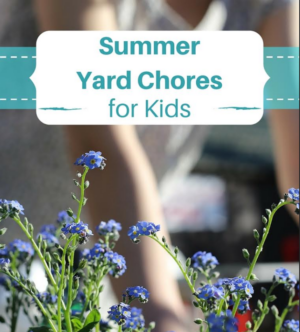 Summer Yard Chores for Kids