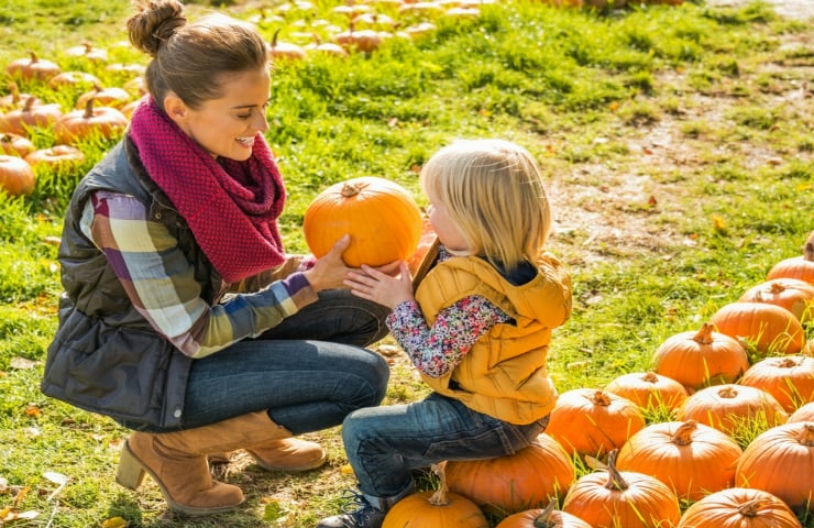 Pumpkin Patches in Metro DC and Maryland