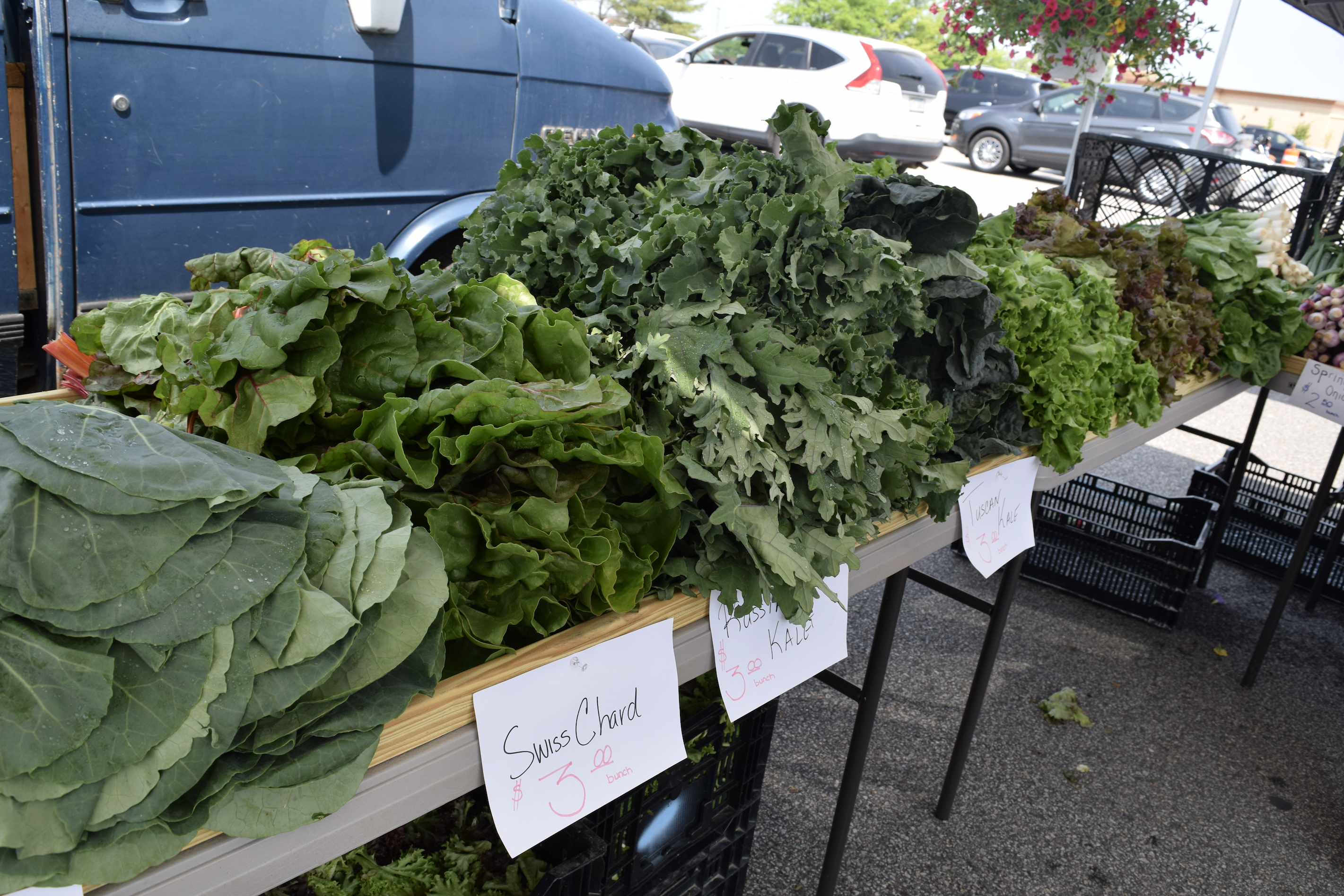 Fresh produce found at the farmers market in Woodbridge, Virginia (The Market at Potomac Mills)