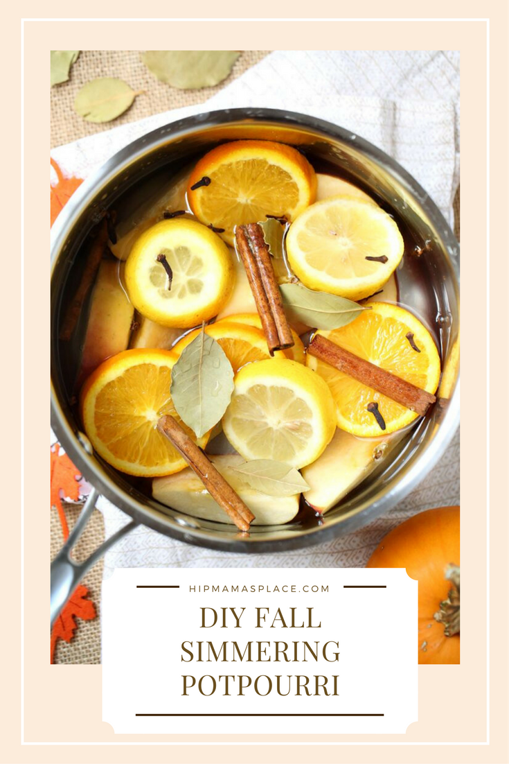 Make your home smell like Fall with this DIY Fall Simmering Potpourri recipe!