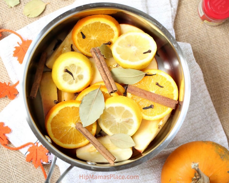 Homemade Simmering Fall Potpourri - Apple Cinnamon - Flavour and