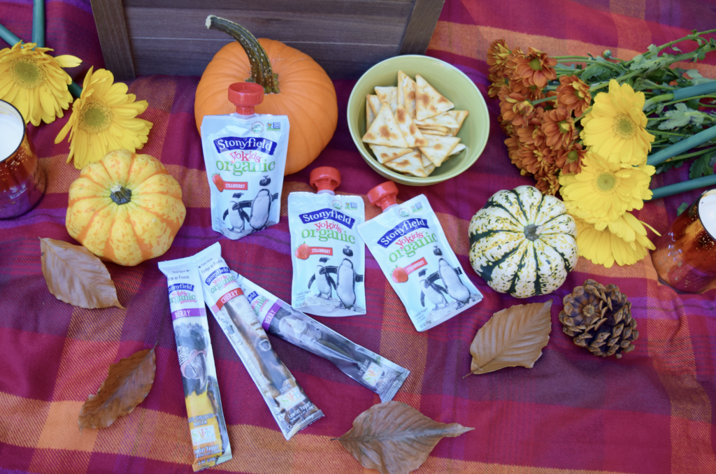 Tips for a Successful and Fun Fall Picnic + Why I Choose Stonyfield® Organic YoKids® Yogurts For My Kids