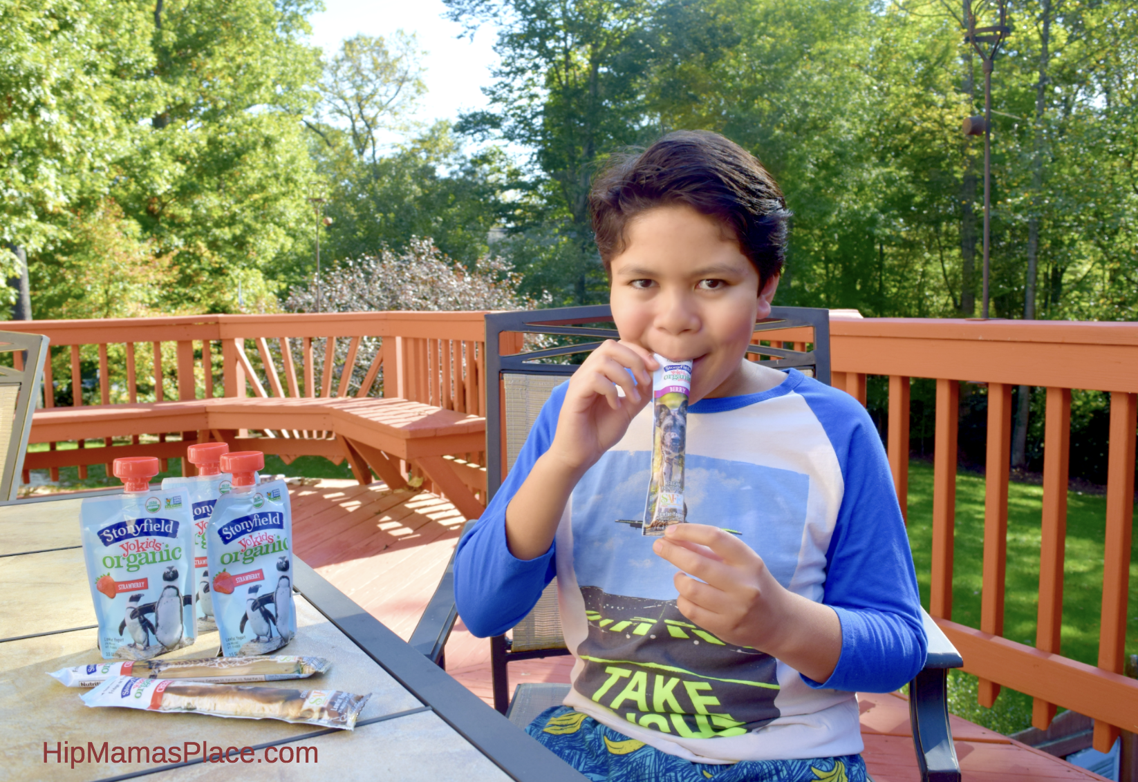 I feel good giving my kids Stonyfield® Organic YoKids® yogurts because not only do they enjoy these yogurts, I love that their bodies are being replenished with wholesome, certified organic snacks!