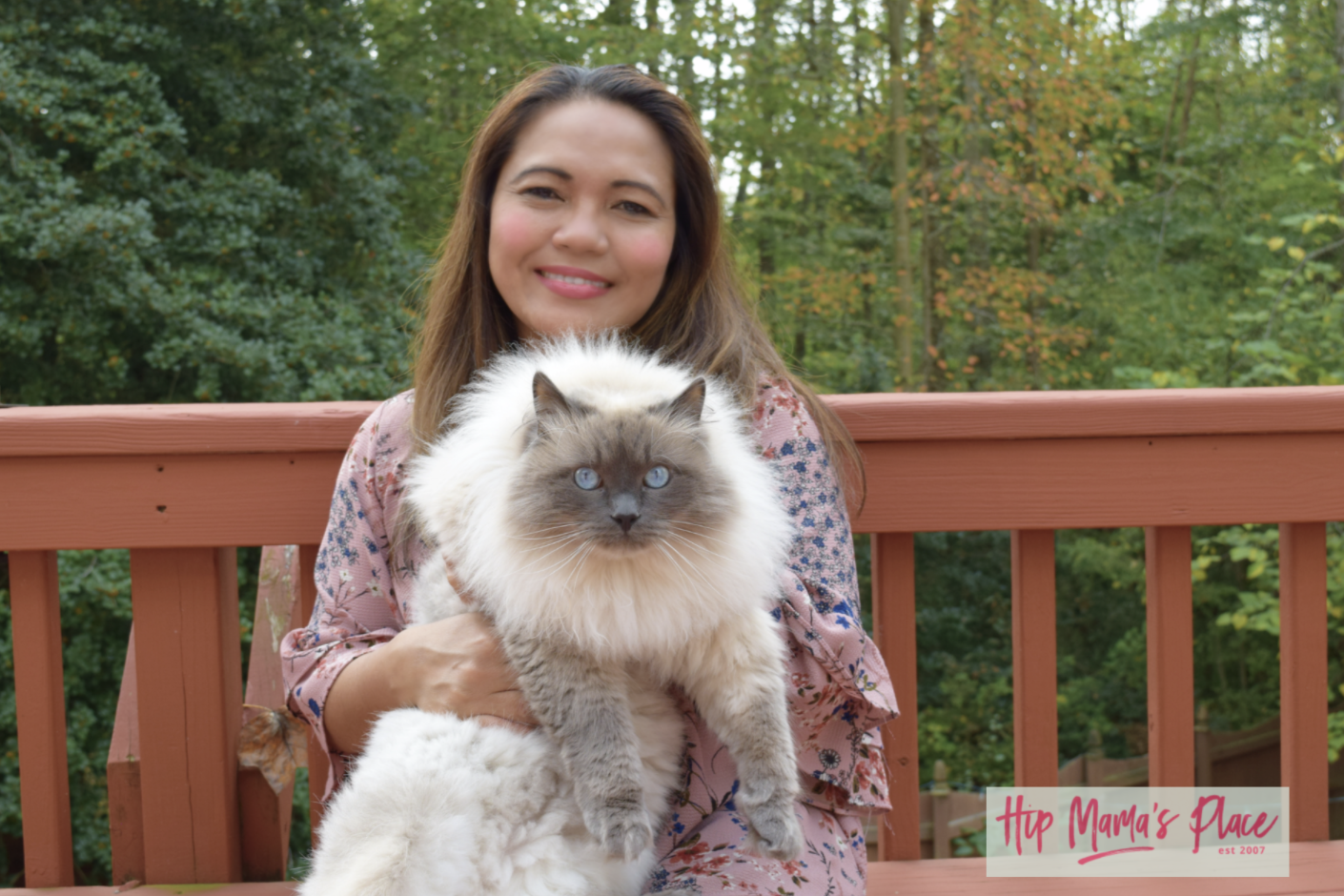 October 29 is National Cat Day and I'm happy to be partnering with Fresh Step® Litter for this post celebrating our love for our pet cat, Oscar!