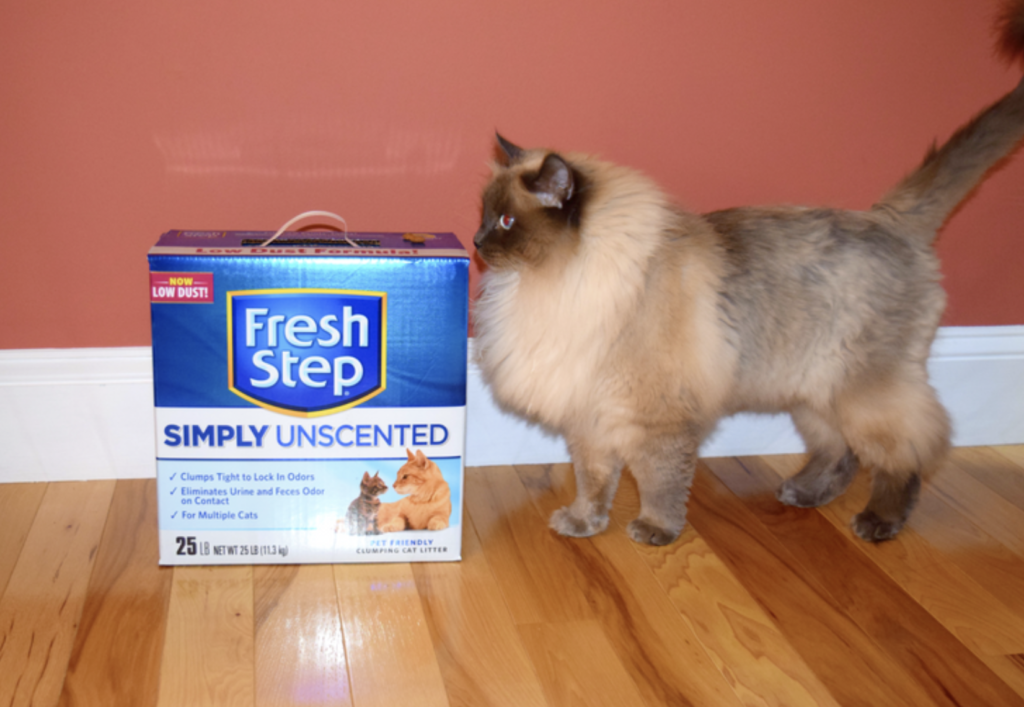 October 29 is National Cat Day: Celebrate with Fresh Step® Litter #CatLuv Campaign