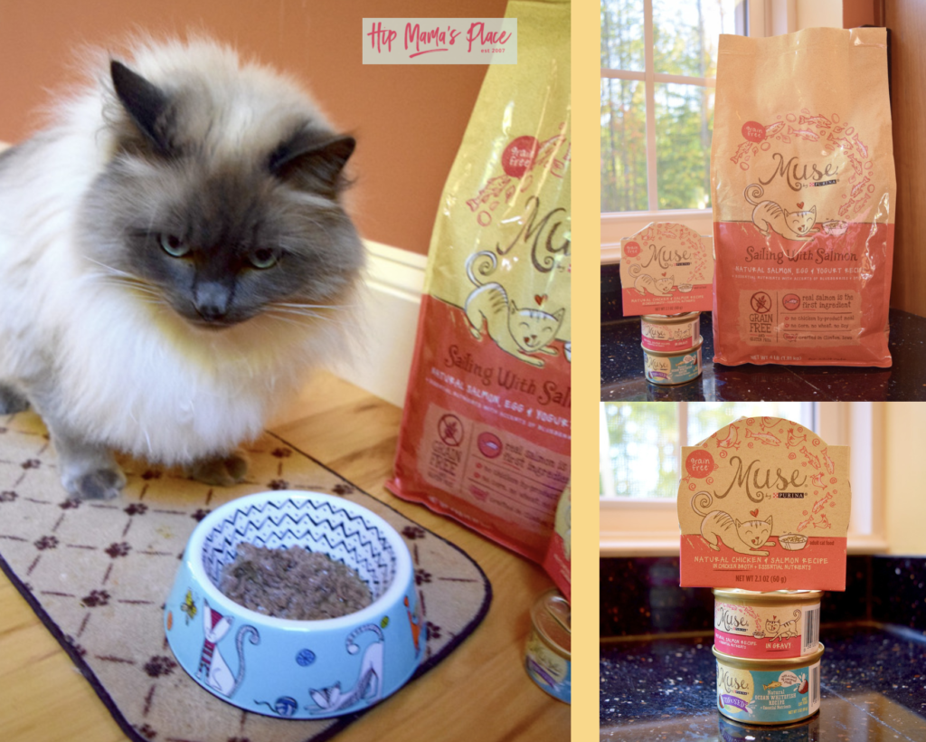 Oscar Approved Purina Muse Cat Food at Petco + Printable Fall "Meow ...