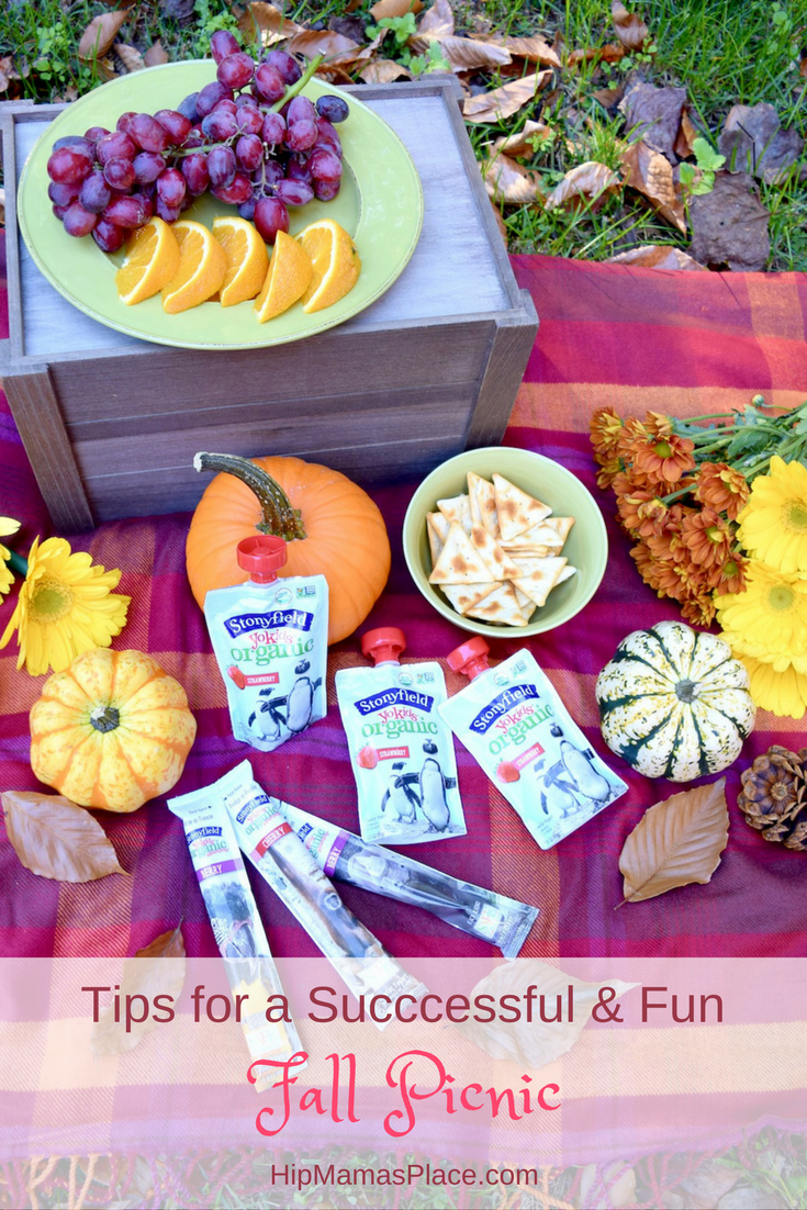 Love going on a picnic with your family? Here are some tips for a successful and fun fall picnic!