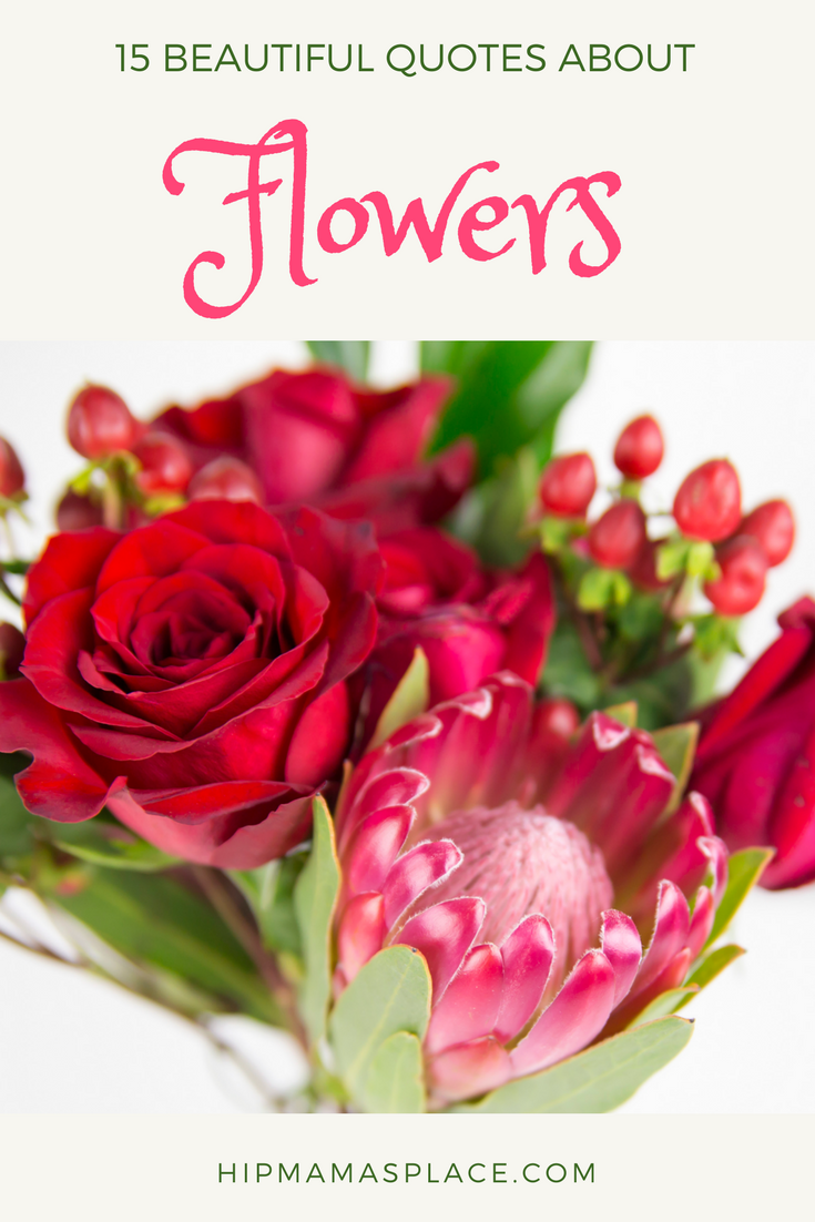 Valentine's Day is just around the corner and it's when flowers are truly appreciated. To celebrate the season, I've put together 15 beautiful quotes about flowers! #ValentinesDay #giveaways #flowers #sweepstakes #quotes 