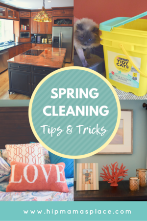 9 Spring Cleaning Tips & Tricks