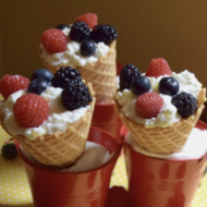 Berry Fresh Fruit Cones + Enter to Win Hood Cottage Cheese Coupons!