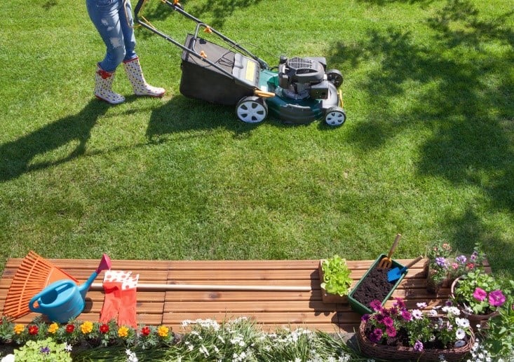 How to Keep Your Lawn Looking Its Best in Summer