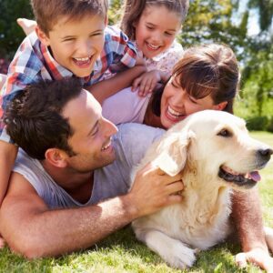 tips for keeping pets healthy and happy with daily pet care routine at home