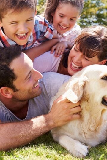 tips for keeping pets healthy and happy with daily pet care routine at home