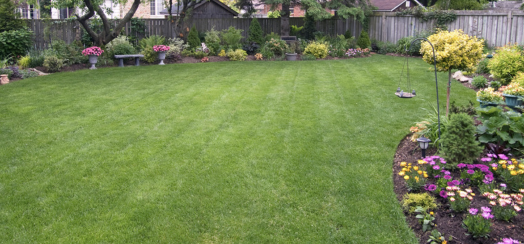 Lawn Care Service In Northern Virginia, Northern Virginia Landscaping Services