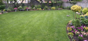 Tips for Hiring a Lawn Care Service in Northern Virginia