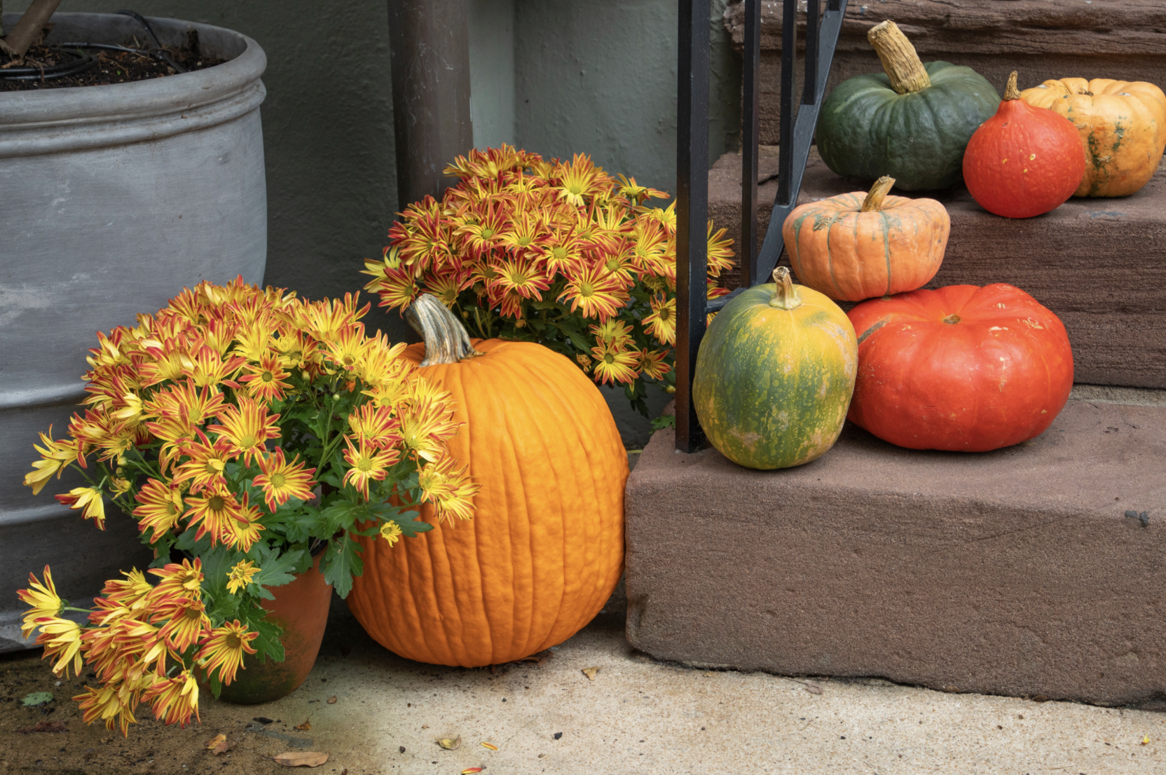 Pumpkin Trivia - 30 Fun Facts About Pumpkins You Never Knew