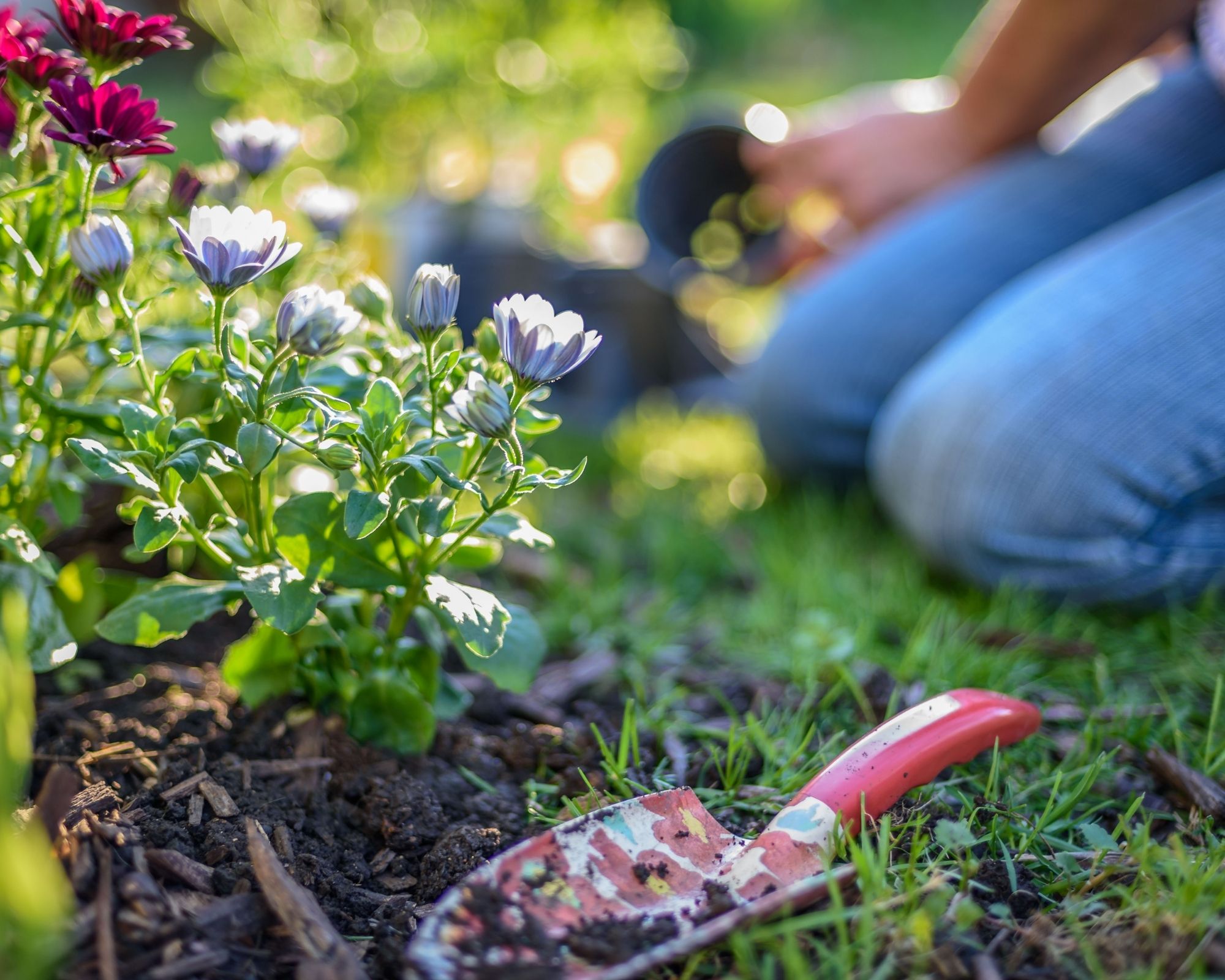 how to stop wasting food