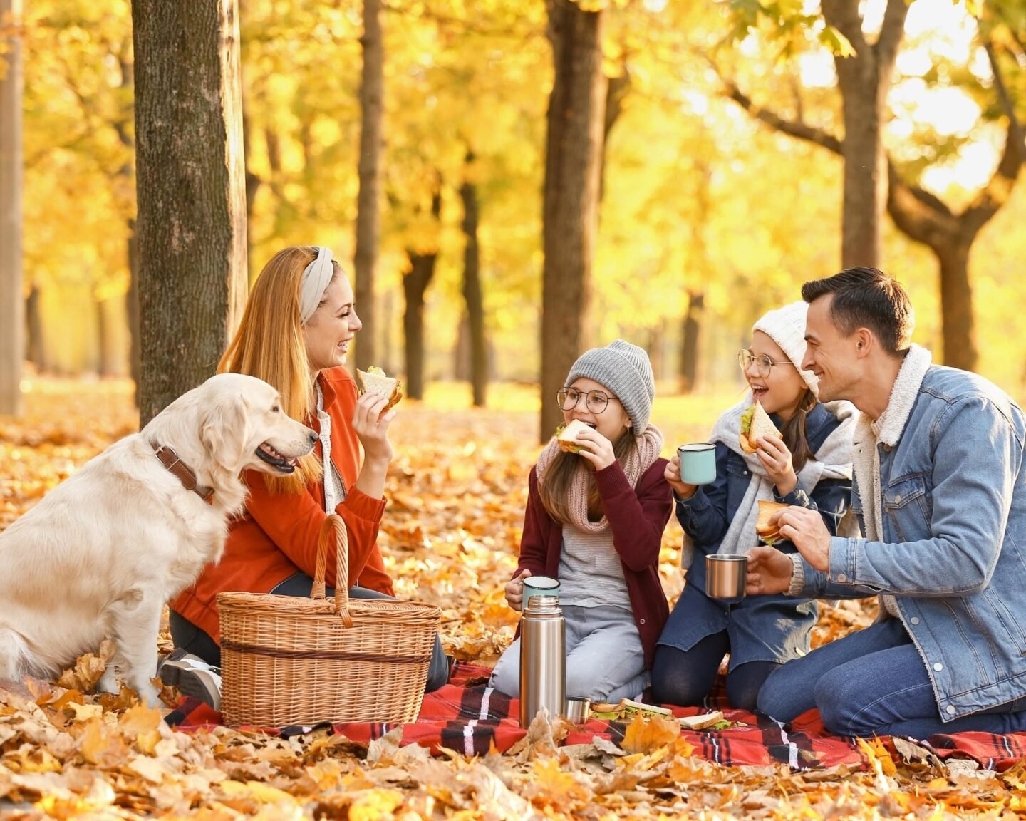 fun fall family activities