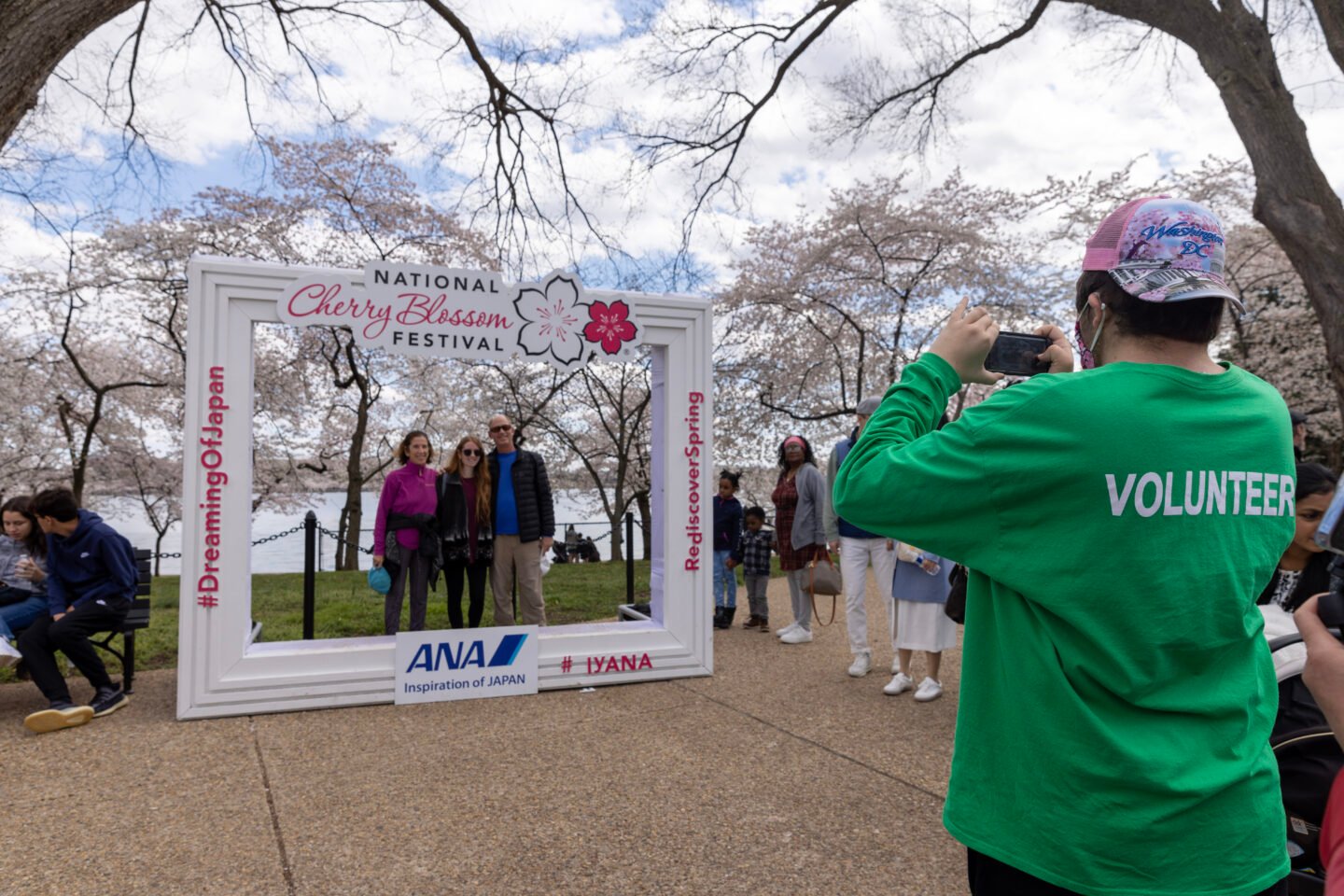 Cherry Blossoms in Washington DC