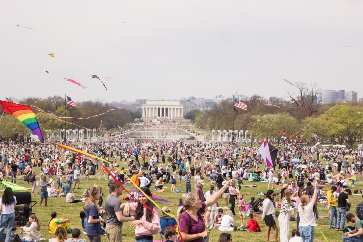 Washington DC cherry blossom festival event spring