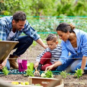 Building a Family Garden on a Budget: Affordable Gardening Tips for Families
