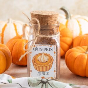 Homemade Pumpkin Pie Spice Blend Recipe | Easy Pumpkin Spice Mix