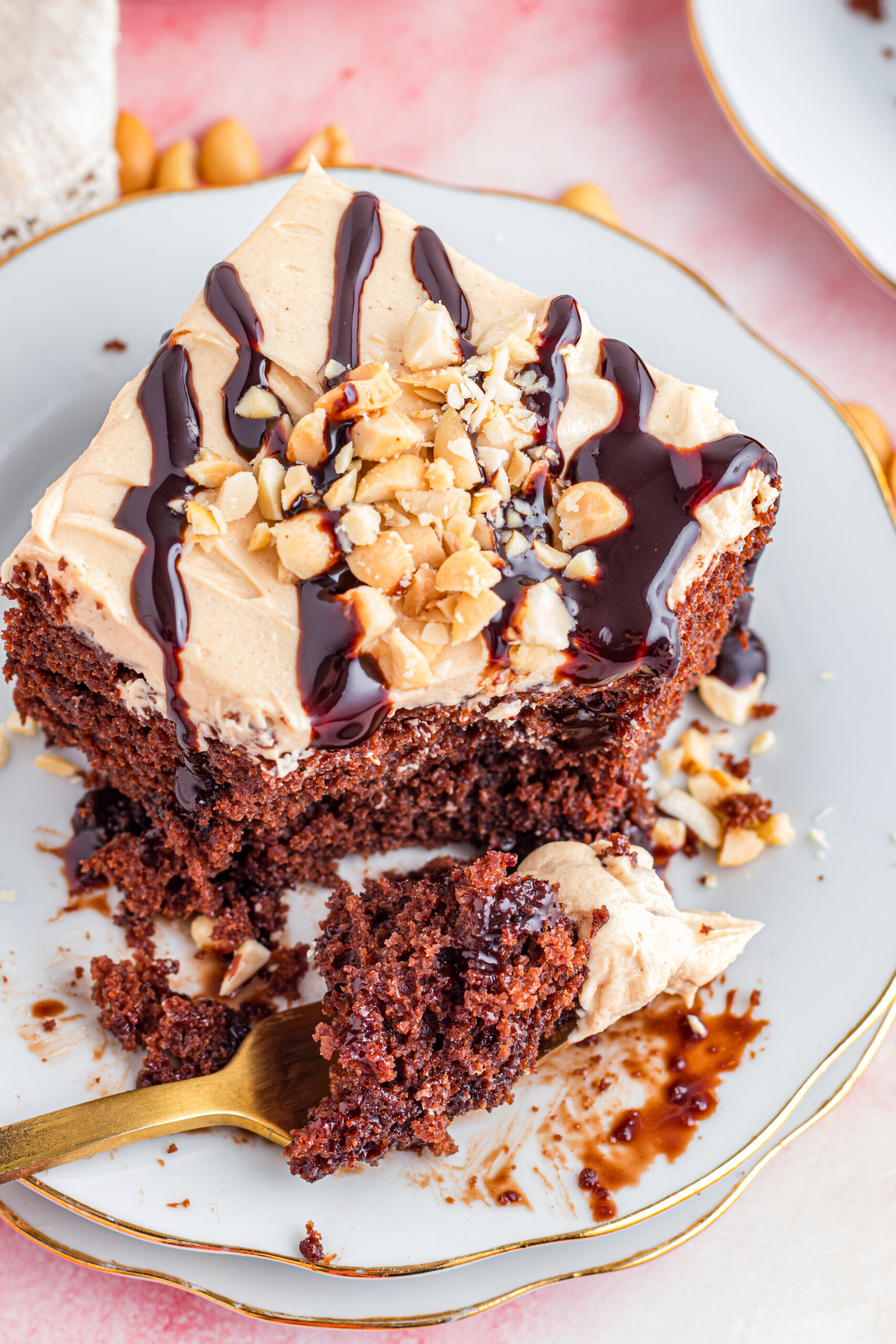 Chocolate Cake with Peanut Butter Frosting - Hip Mama's Place