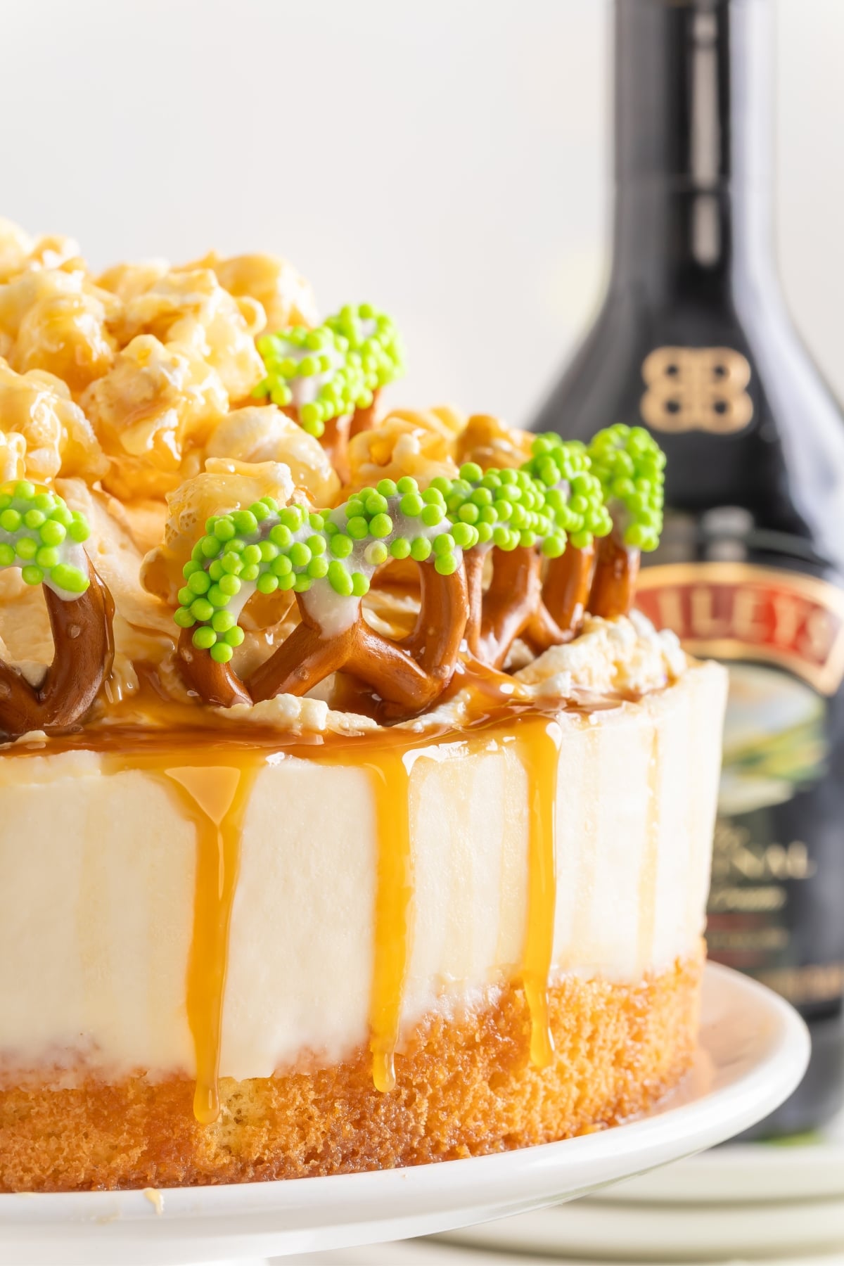 No-Bake Baileys Cheesecake decorated with caramel drizzle and pretzels
